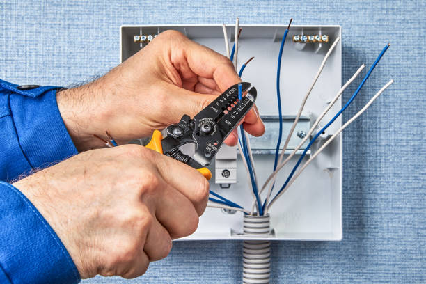 Best Electrical Panel Upgrades  in Wetumpka, AL